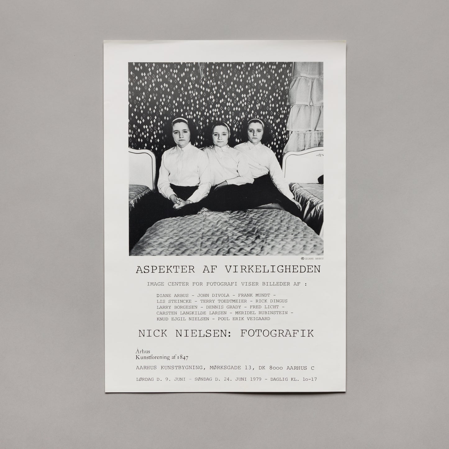 Diane Arbus, Aspekter af virkeligheden, 1979 — poster