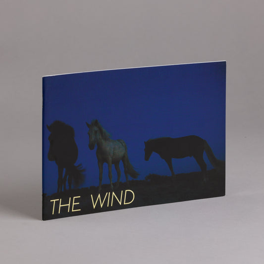 Wild As the Wind, Michelle Eistrup
