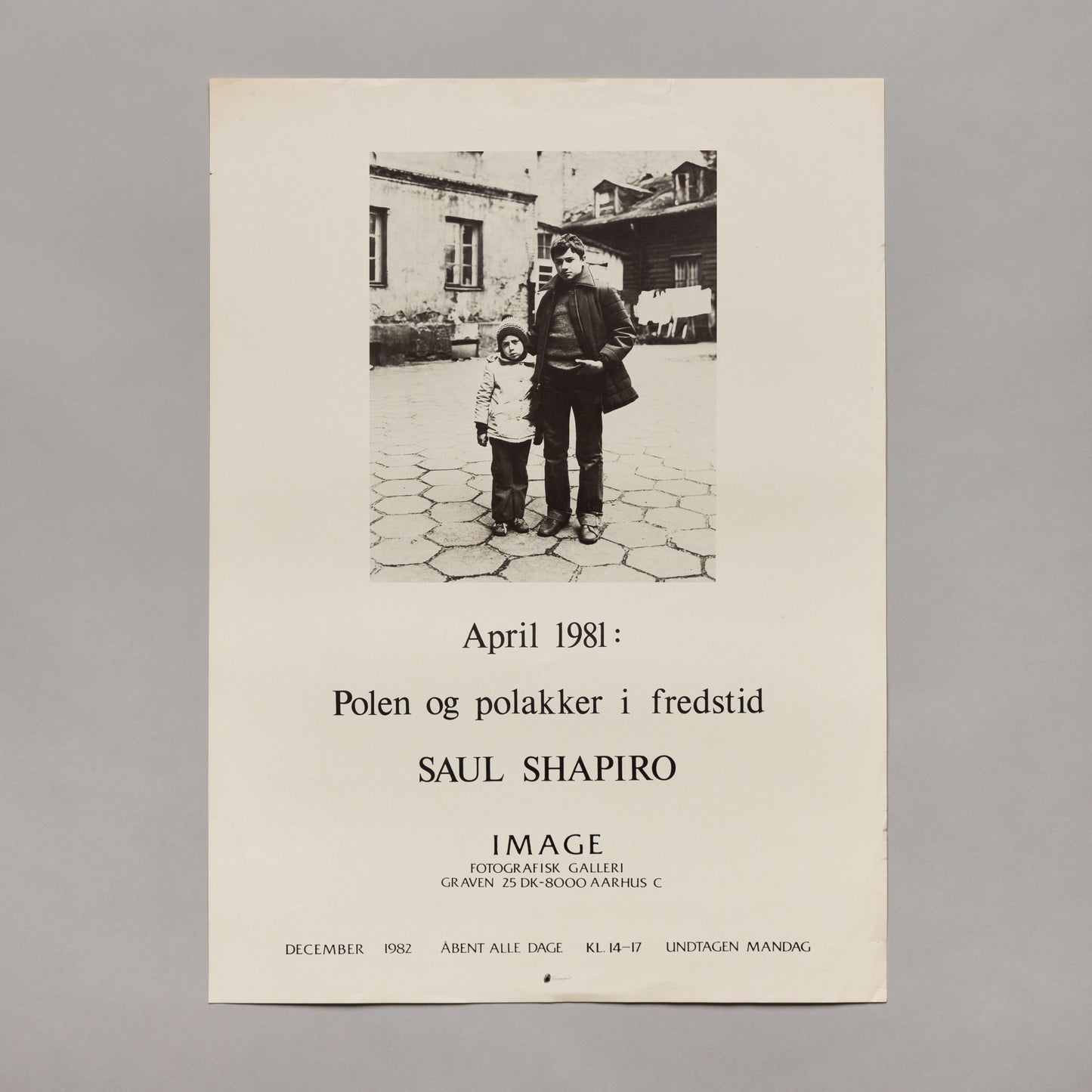Saul Shapiro, Polen og polakker i fredstid, 1981 — poster